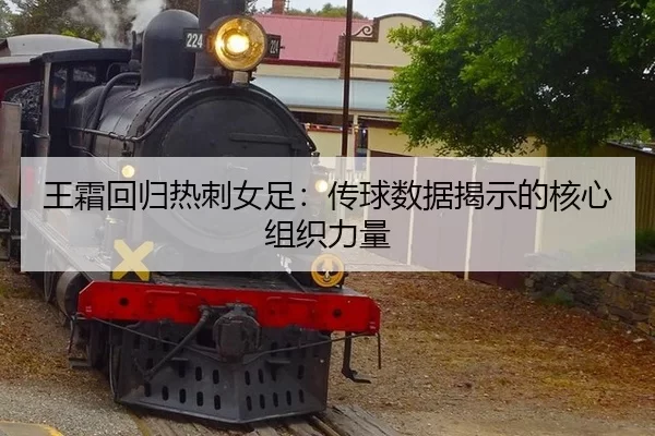wang-shuang-hui-gui-re-ci-nv-zu-chuan-qiu-shu-ju-jie-shi-de-he-xin-zu-zhi-li-liang-3-421.jpg