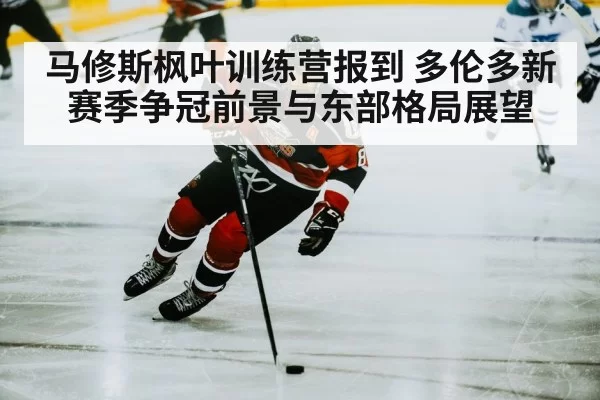 hockey player skating